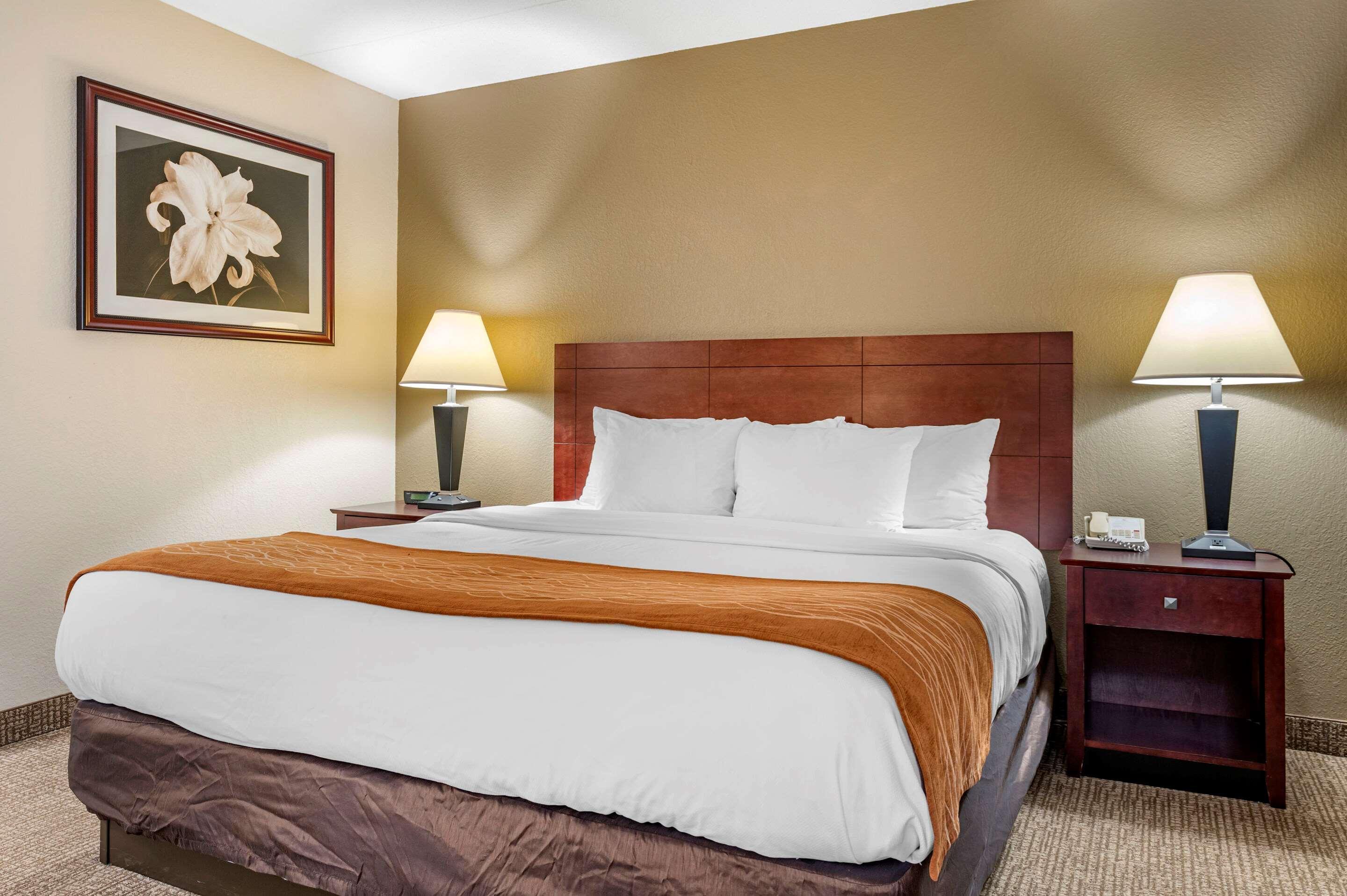 Comfort Inn Northeast Mason Exterior foto